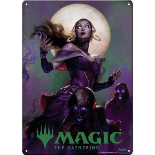 Magic The Gathering Liliana Metal Sign
